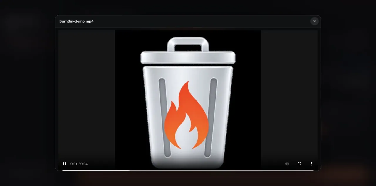 A shared video named BurnBin-demo.mp4 playing in BurnBin's built-in preview player